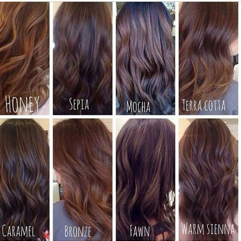 hairy brunette|81 Different Types of Brunette Hairstyles for Women (Photos).